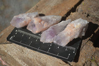 Natural Single Sugar Amethyst Crystals  x 70 From Zambia - Toprock Gemstones and Minerals 