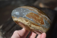 Polished Polychrome / Picasso Jasper Standing Free Forms  x 3 From Madagascar