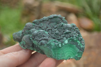 Natural Botryoidal Fibrous Malachite Specimens  x 6 From Kasompe, Congo - TopRock