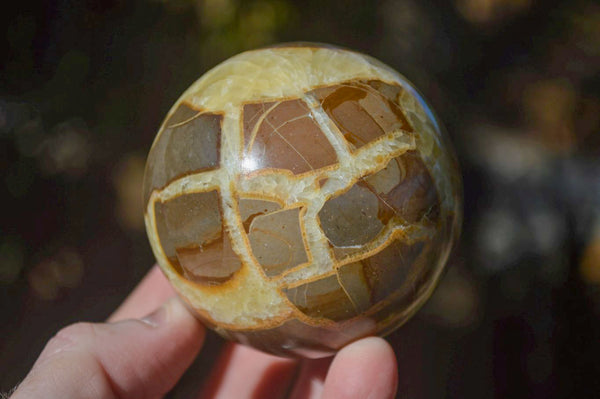 Polished Gorgeous Septerye Spheres x 4 From Madagascar