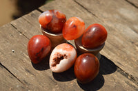 Polished Beautiful Selection Of Carnelian Agate Eggs  x 20 From Madagascar - TopRock