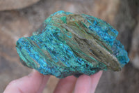 Natural Rough Shattuckite With Malachite & Cuprite Specimens  x 6 From Kaokoveld, Namibia - Toprock Gemstones and Minerals 