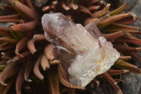 Natural Red Hematoid Quartz Specimens x 12 From Karoi, Zimbabwe - TopRock