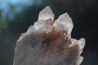 Natural Sugar Amethyst Clusters  x 6 From Zambia - Toprock Gemstones and Minerals 