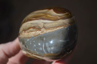 Polished Polychrome / Picasso Jasper Standing Free Forms  x 3 From Madagascar