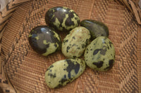 Polished  Spotted Leopard Stone Gallets  x 6 From Zimbabwe