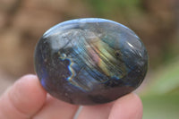 Polished Flashy Labradorite Palm Stones  x 12 From Tulear, Madagascar