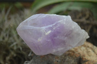 Natural Large Jacaranda Amethyst Crystals  x 6 From Zambia - Toprock Gemstones and Minerals 