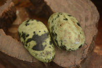 Polished  Spotted Leopard Stone Gallets  x 6 From Zimbabwe