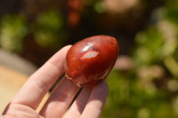 Polished Beautiful Selection Of Carnelian Agate Eggs  x 20 From Madagascar - TopRock