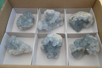 Natural Blue Celestite Crystal Specimens  x 6 From Sakoany, Madagascar