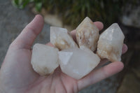 Natural Highly Selected Pineapple Candle Quartz Crystals  x 24 From Madagascar - Toprock Gemstones and Minerals 