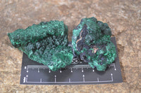 Natural Chatoyant Silky Malachite Specimens  x 6 From Kasompe, Congo