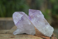 Natural Single Zambian Jacaranda Amethyst Points - Sold per 1.6 kg (24 points per tray) - From Mumbwa, Zambia - TopRock