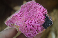 Natural Salrose Cobaltion Dolomite Specimens x 4 From Kakanda, Congo