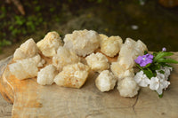 Natural Pineapple/Candle Quartz Clusters  x 14 From Madagascar - TopRock