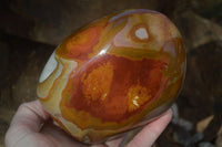 Polished Polychrome / Picasso Jasper Standing Free Forms  x 3 From Madagascar