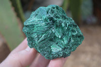 Natural Chatoyant Silky Malachite Specimens  x 4 From Congo