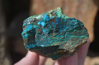 Natural Rough Shattuckite With Malachite & Cuprite Specimens  x 6 From Kaokoveld, Namibia - Toprock Gemstones and Minerals 