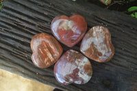 Polished Petrified Podocarpus Wood Hearts x 4 From Mahajanga, Madagascar