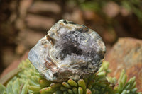 Natural Amethyst & Crystal Centred Geodes  x 12 From Zululand, South Africa - TopRock