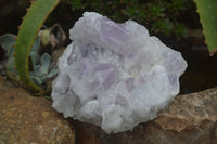 Natural Jacaranda Amethyst Clusters  x 3 From Mumbwa, Zambia - Toprock Gemstones and Minerals 