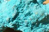 Natural Bright Blue Botryoidal Chrysocolla Specimens x 2 From Lupoto, Congo - TopRock