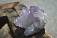 Natural Jacaranda Amethyst Clusters  x 3 From Mumbwa, Zambia - Toprock Gemstones and Minerals 