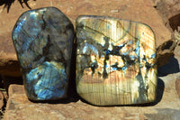 Polished Labradorite Standing Free Forms With Intense Blue & Gold Flash x 2 From Sakoany, Madagascar - TopRock