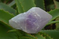 Natural Large Jacaranda Amethyst Crystals  x 6 From Zambia - Toprock Gemstones and Minerals 