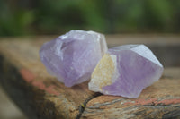 Natural Single Zambian Jacaranda Amethyst Points - Sold per 1.6 kg (24 points per tray) - From Mumbwa, Zambia - TopRock