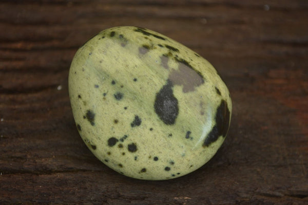 Polished  Spotted Leopard Stone Gallets  x 6 From Zimbabwe