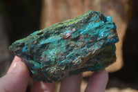 Natural Rough Shattuckite With Malachite & Cuprite Specimens  x 6 From Kaokoveld, Namibia - Toprock Gemstones and Minerals 