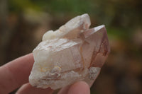 Natural Red Hematoid Quartz Specimens x 12 From Karoi, Zimbabwe - TopRock