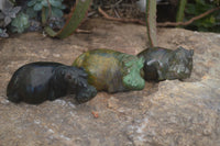 Polished Green Verdite Hippo Carvings x 3 From Zimbabwe