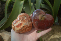 Polished Petrified Podocarpus Wood Hearts x 4 From Mahajanga, Madagascar