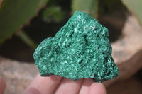 Natural Chatoyant Silky Malachite Specimens  x 6 From Kasompe, Congo