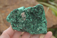 Natural Botryoidal Fibrous Malachite Specimens  x 6 From Kasompe, Congo - TopRock