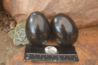 Polished  Black Basalt Gemstone Eggs x 6 From Antsirabe, Madagascar