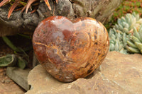 Polished Large Petrified Red Podocarpus Wood Hearts  x 2 From Mahajanga, Madagascar - TopRock