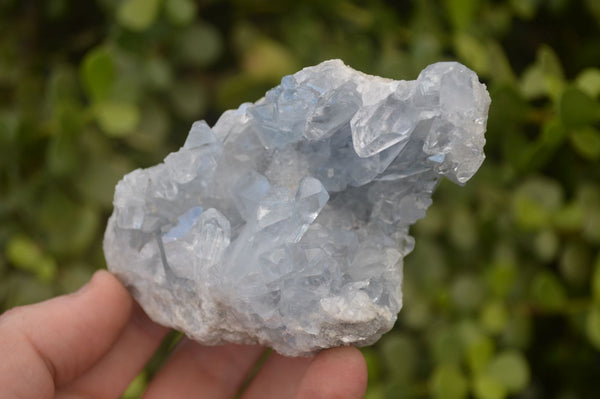 Natural Blue Celestite Crystal Specimens  x 6 From Sakoany, Madagascar