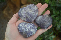 Polished Purple Lepidolite  Hearts  x 6 From Madagascar - Toprock Gemstones and Minerals 