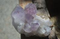 Natural Jacaranda Amethyst Clusters  x 3 From Mumbwa, Zambia - Toprock Gemstones and Minerals 