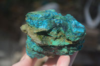 Natural Rough Shattuckite With Malachite & Cuprite Specimens  x 6 From Kaokoveld, Namibia - Toprock Gemstones and Minerals 