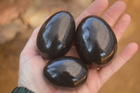 Polished  Black Basalt Gemstone Eggs x 6 From Antsirabe, Madagascar