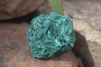 Natural Chatoyant Silky Malachite Specimens  x 4 From Congo