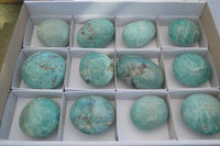 Polished Blue Amazonite Palm Stones  x 12 From Madagascar - Toprock Gemstones and Minerals 