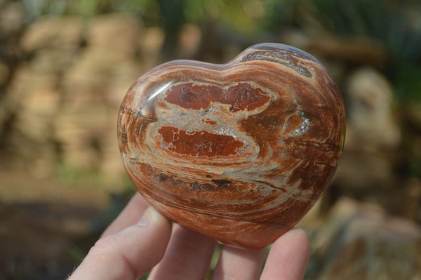 Polished Petrified Podocarpus Wood Hearts x 4 From Mahajanga, Madagascar