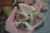 Natural Small Golden Lemonite / Limonite  Quartz Clusters  x 35 From Zambia - Toprock Gemstones and Minerals 