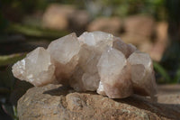 Natural Cascading White Phantom Smokey Quartz Clusters x 6 From Luena, Congo